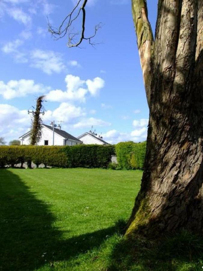 Villa Brielle House Mountmellick Exterior foto